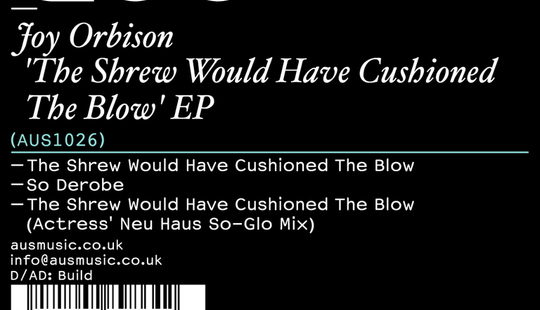 Joy Orbison - The Shrew