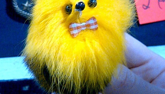 Yellow Bird Toy